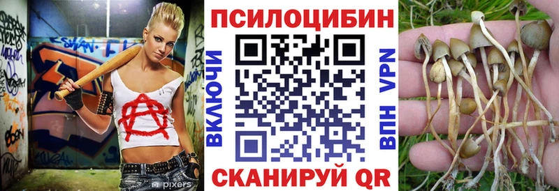 Галлюциногенные грибы GOLDEN TEACHER  Белово 